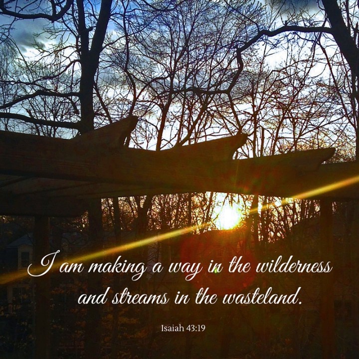 I am making a way in the wilderness and streams in the wasteland.