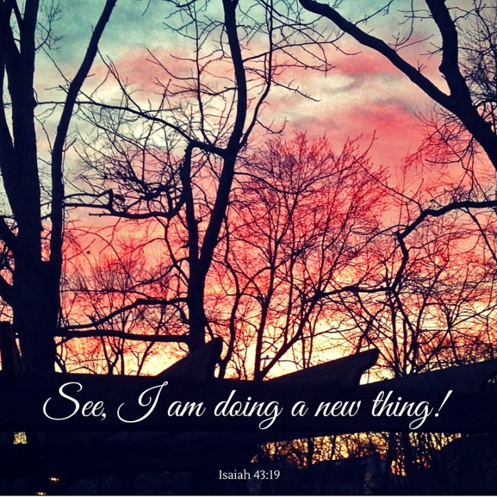 see I am doing a new thing