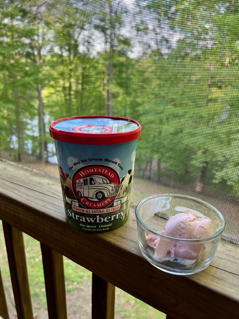 Reflections from a Smith Mountain Lake Porch – Part 2 – Things I have never told my husband.